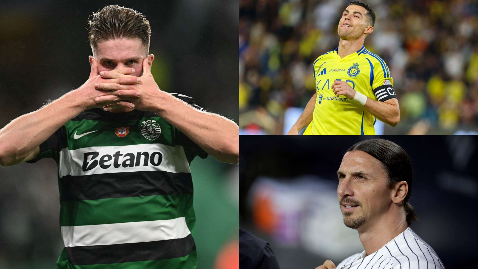 了坚实的基 了坚实的基