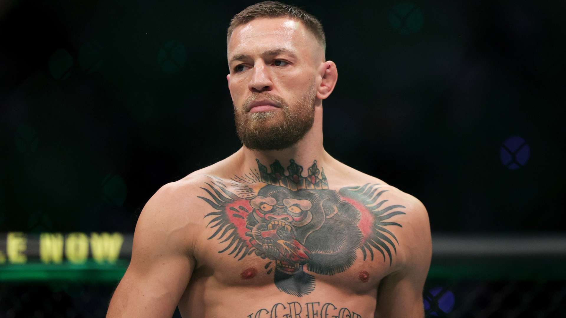 他都一丝不 他都一丝不